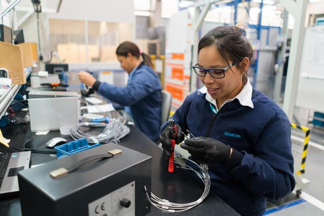 Siemens culture