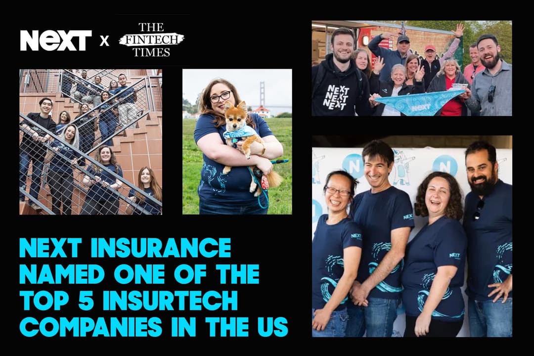 NEXT Insurance company profile