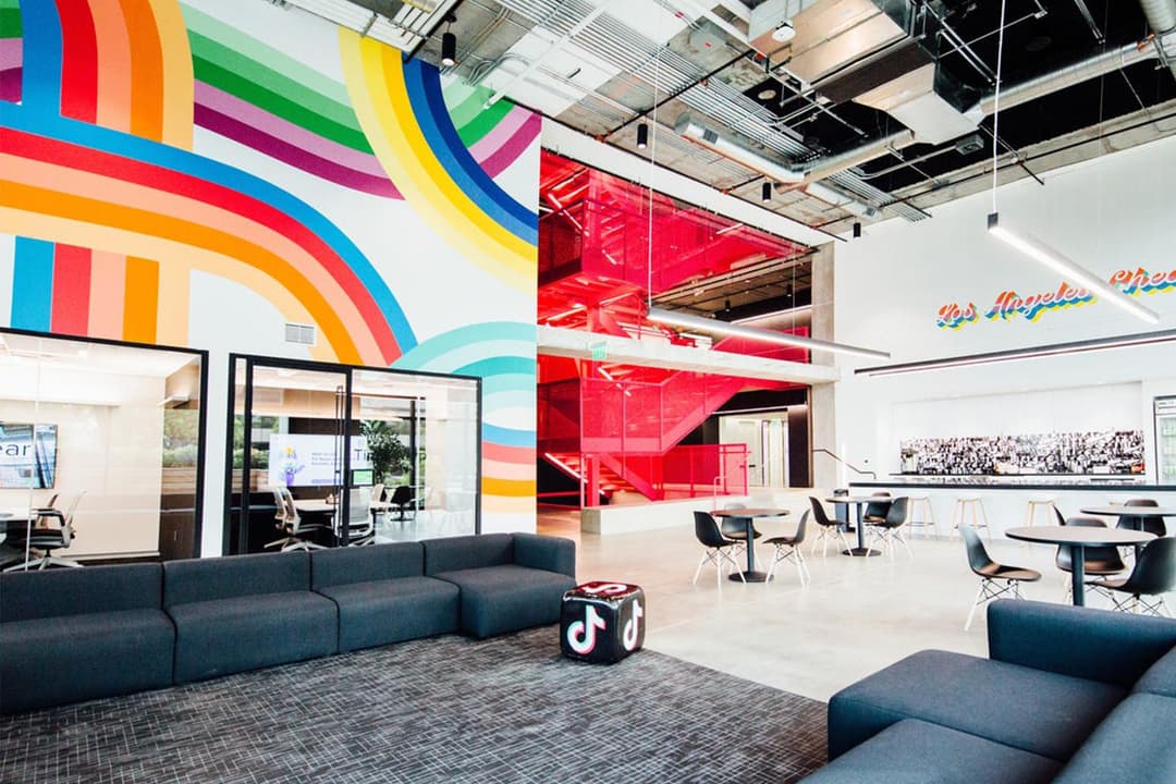 TikTok company profile