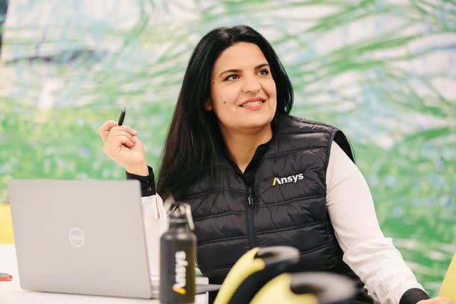 Working at Ansys