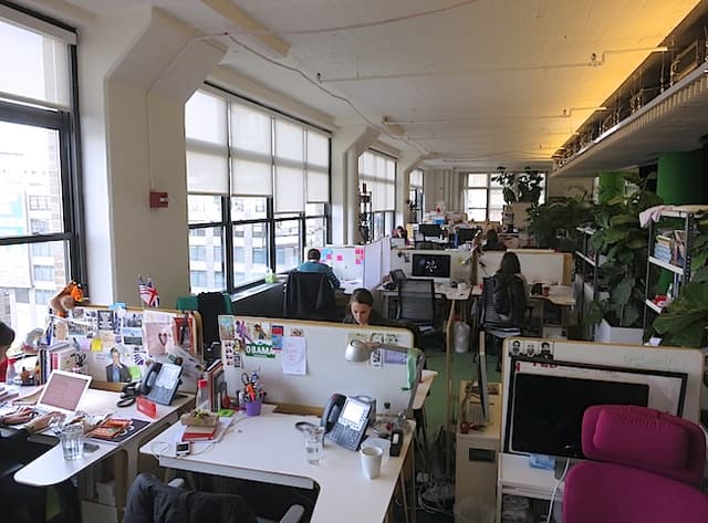 TED company image
