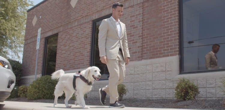 I Get to Bring My Service Dog and Best Friend to Work—and He Makes Me Better at My Job