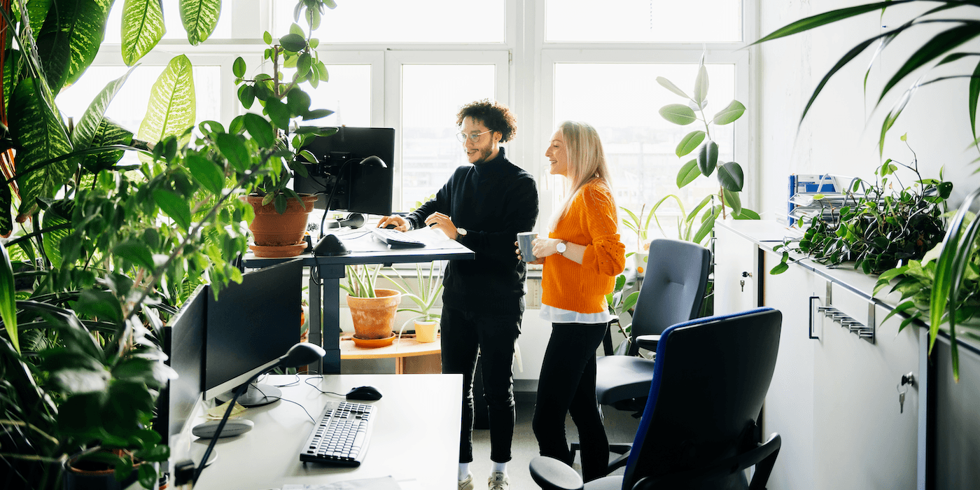 two people standing by a raised desk, looking at a computer screen, one holding a mug, with green plants in the foreground