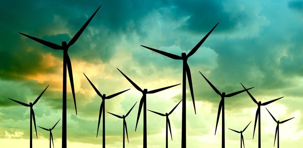 Green Gigs: How to Launch a Stellar Sustainability Career
