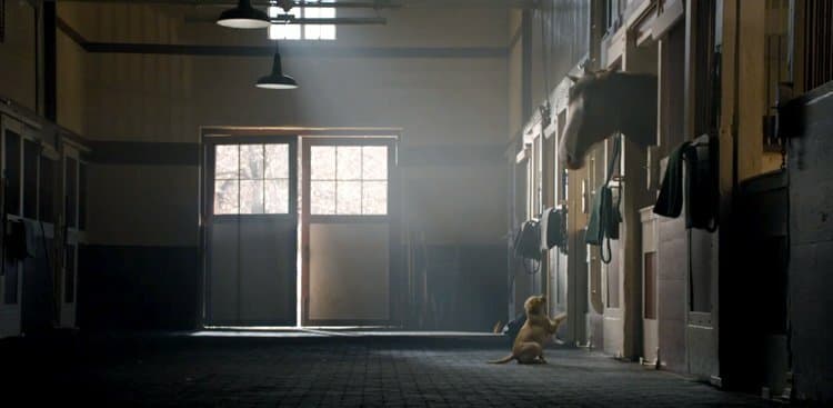 What it's Like to Work on the Best Commercial of the Year