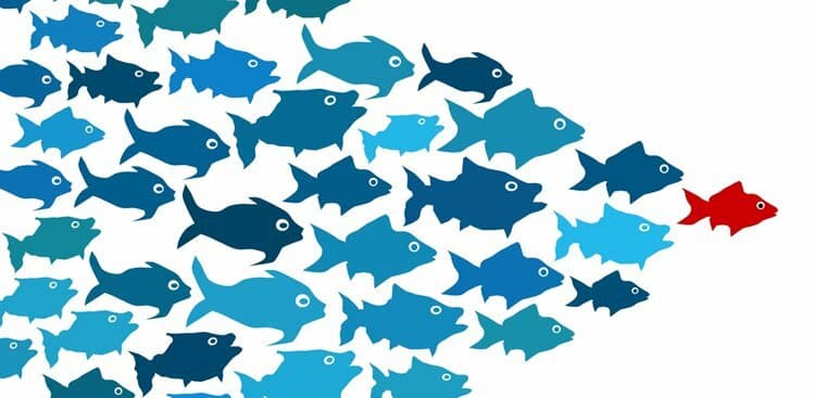 The Secret Sauce of Incredible Leaders