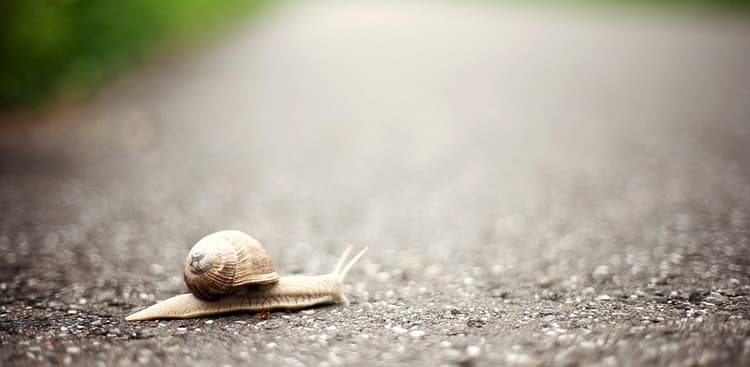 The Counterintuitive Strategy That Can Lead to Your Success