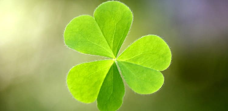 9 Ways to Create Your Own Luck