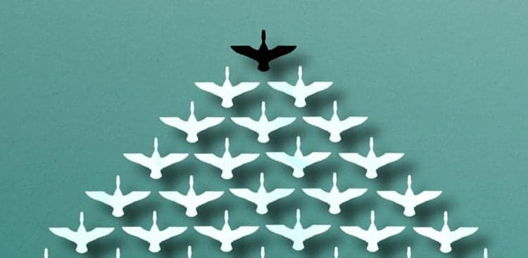 Advice From a Former Follower: How to Stop Following the Herd