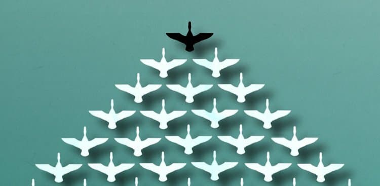 Advice From a Former Follower: How to Stop Following the Herd