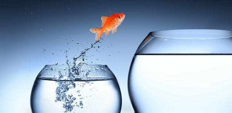 Why You Shouldn't Necessarily Go for That Promotion