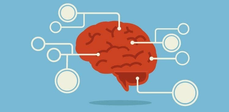 10 Daily Habits That Will Actually Make You Smarter