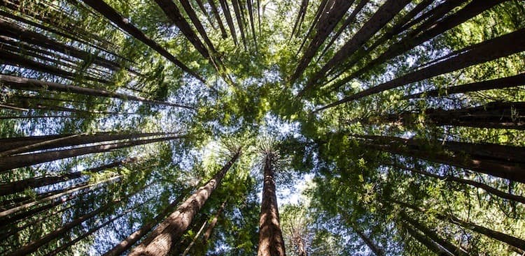 Why Resilient People Are Happier—and How to Be More Like Them