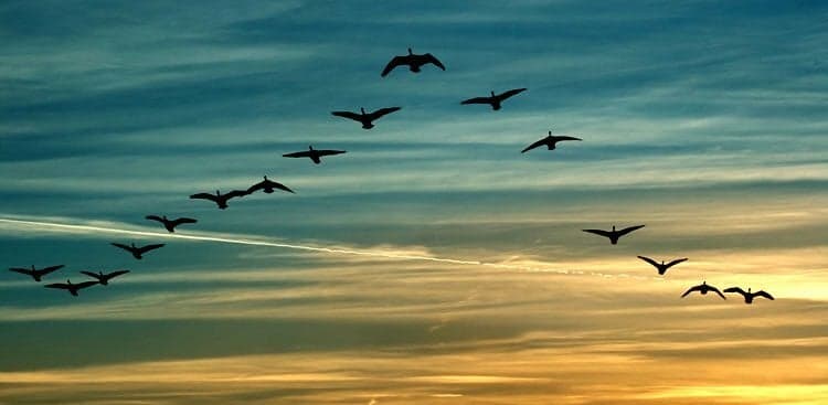 3 Ways to Prove You're a Leader, No Matter What Your Position