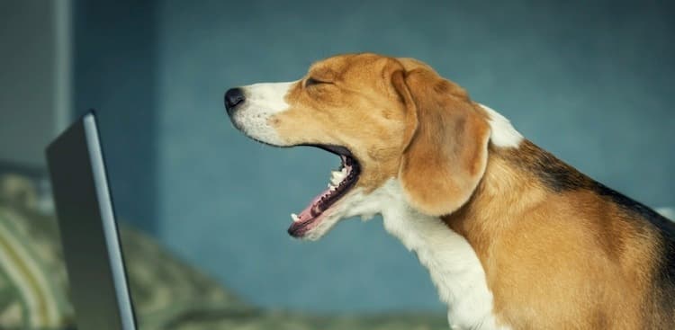 8 Ways to Be Productive When You Don't Feel Like Doing Anything