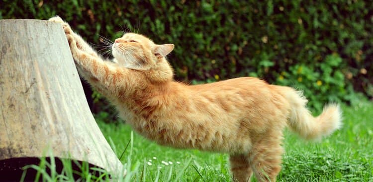 14 Office Stretches That Will Make You Feel Better in Seconds