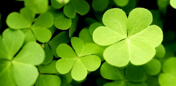 5 Powerful Ways to Create Luck, Happiness, and Success