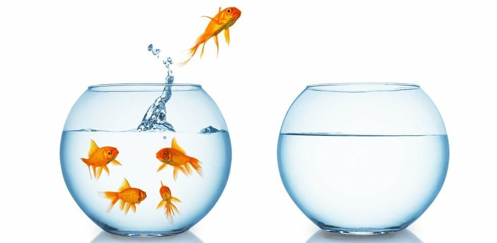 How to Behave Like a Mature, Professional Adult When Your Co-worker Becomes Your Boss
