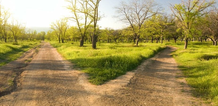 Why Decisions Are So Hard—and 5 Secrets to Making Them Easier