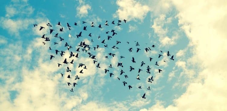 6 Almost-Too-Easy Ways to Become More Influential and Likable at Work