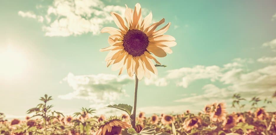 How to Go From Being "Someone's Boss" to Being a Respected Leader