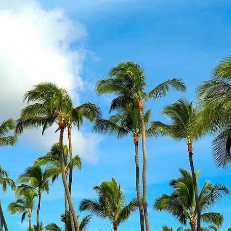 California Dreaming (or Not): How I Handled Cross-Country Culture Shock