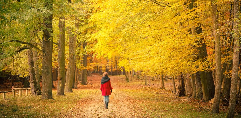 6 Smarter Ways to Spend Your Sunday (That Don't Involve Doing Any Work)