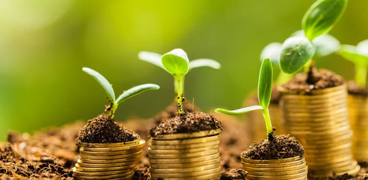 growing money
