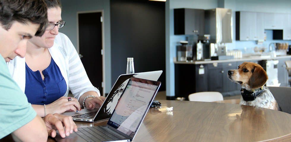 17 Companies That Are as Great as Google (and Hiring Now!)