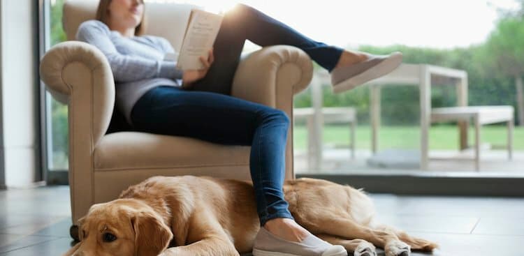 The Best Way to Read a Book in 90 Minutes (and Still Learn Something)