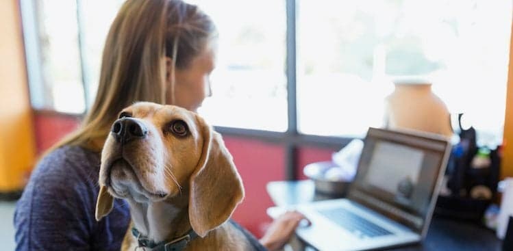 woman and dog courtesy Hero Images/Getty Images