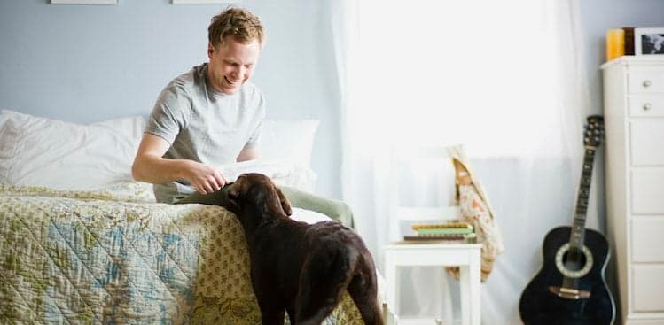 person and dog