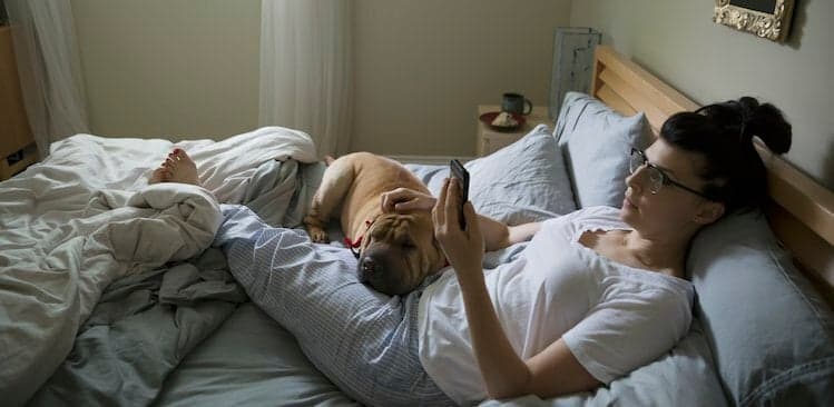 7 Different Articles to Read if Falling Asleep Is a Real Struggle for You