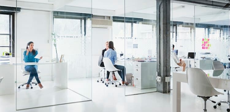 people in office