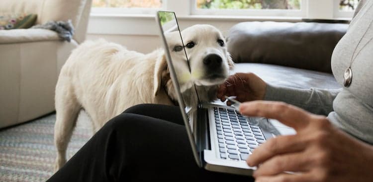 The Advice You Need if You're Not Sure Which Jobs You Should Apply To