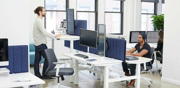 photo of people working at desks