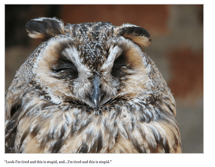 8 Amazing Sites to Get You Through a Bad Day