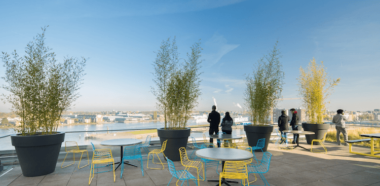 people outside office