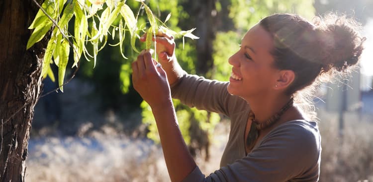 6 Keys to Applying to a Fellowship