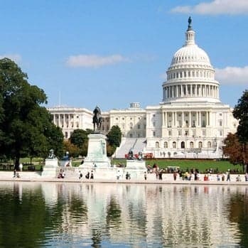 Love Politics? Make it Your Job