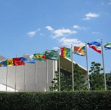 Should You Get a Master's in International Relations?