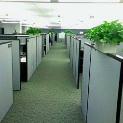 Think Outside the Cube: Why the Office Isn't the Best Workspace
