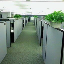 Think Outside the Cube: Why the Office Isn't the Best Workspace