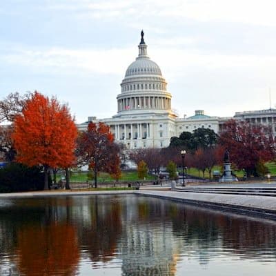 5 Great Excuses to Dine Alone in Washington, DC