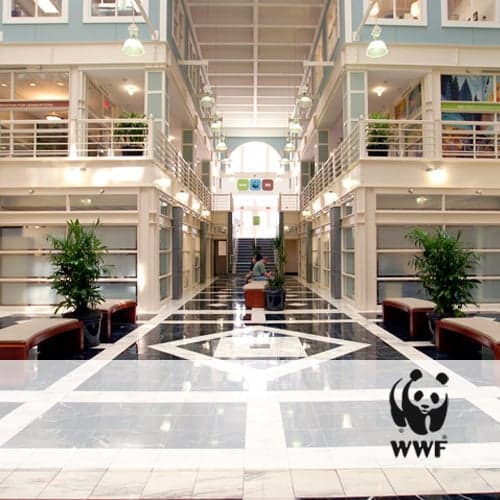 5 Companies That Love the Outdoors