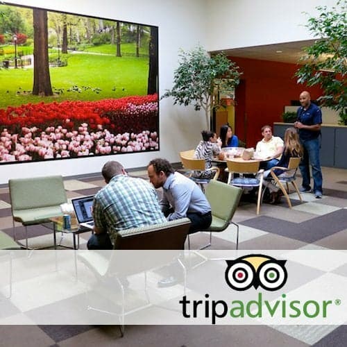 5 Companies Travel Buffs Will Love