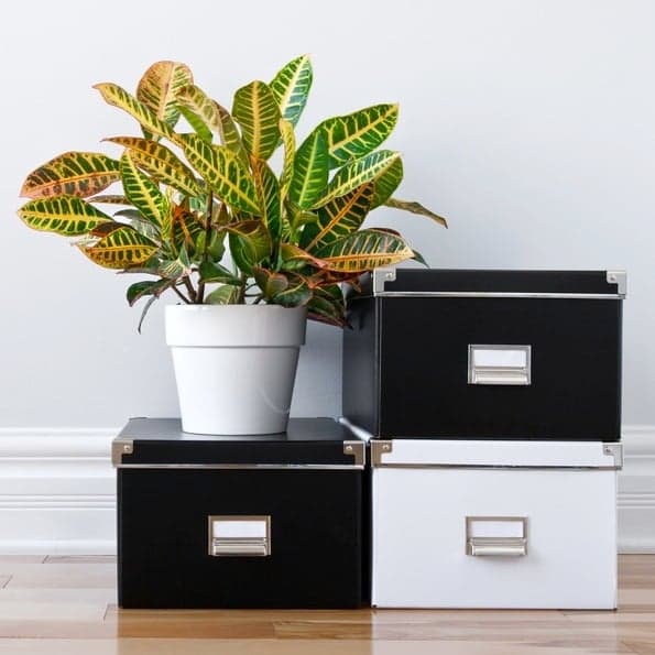 Get Uncluttered for 2014: Your Step-by-Step Plan for Organization