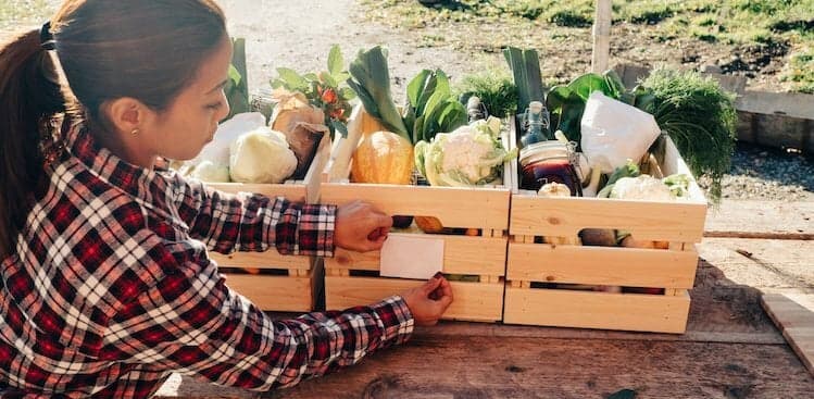 6 Ways Your Small Business Can Go Green