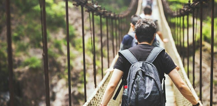 people walking on suspension bridge in forest