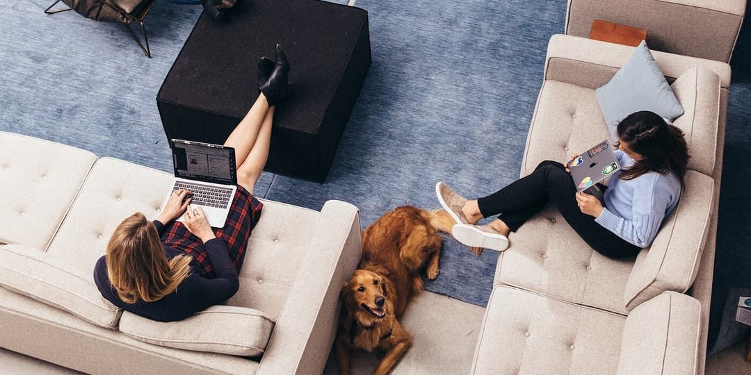 28 Companies Hiring Right This Minute